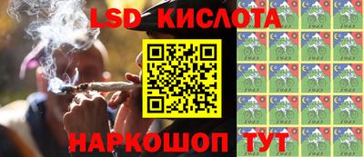 крисы Севастополь