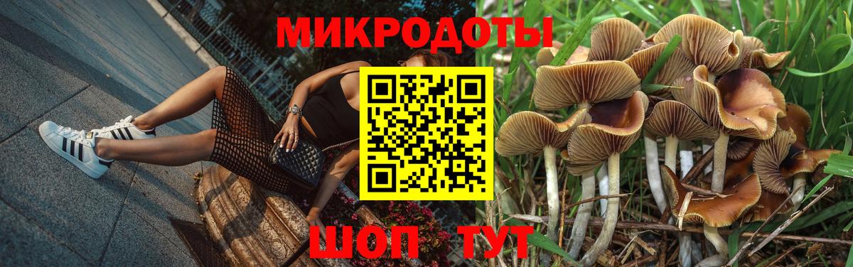Сатка  Псилоцибиновые грибы мицелий  продажа наркотиков  Вход с VPN 