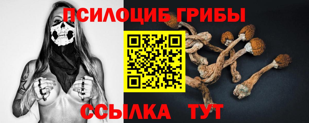 Псилоцибиновые грибы Magic Shrooms Сатка